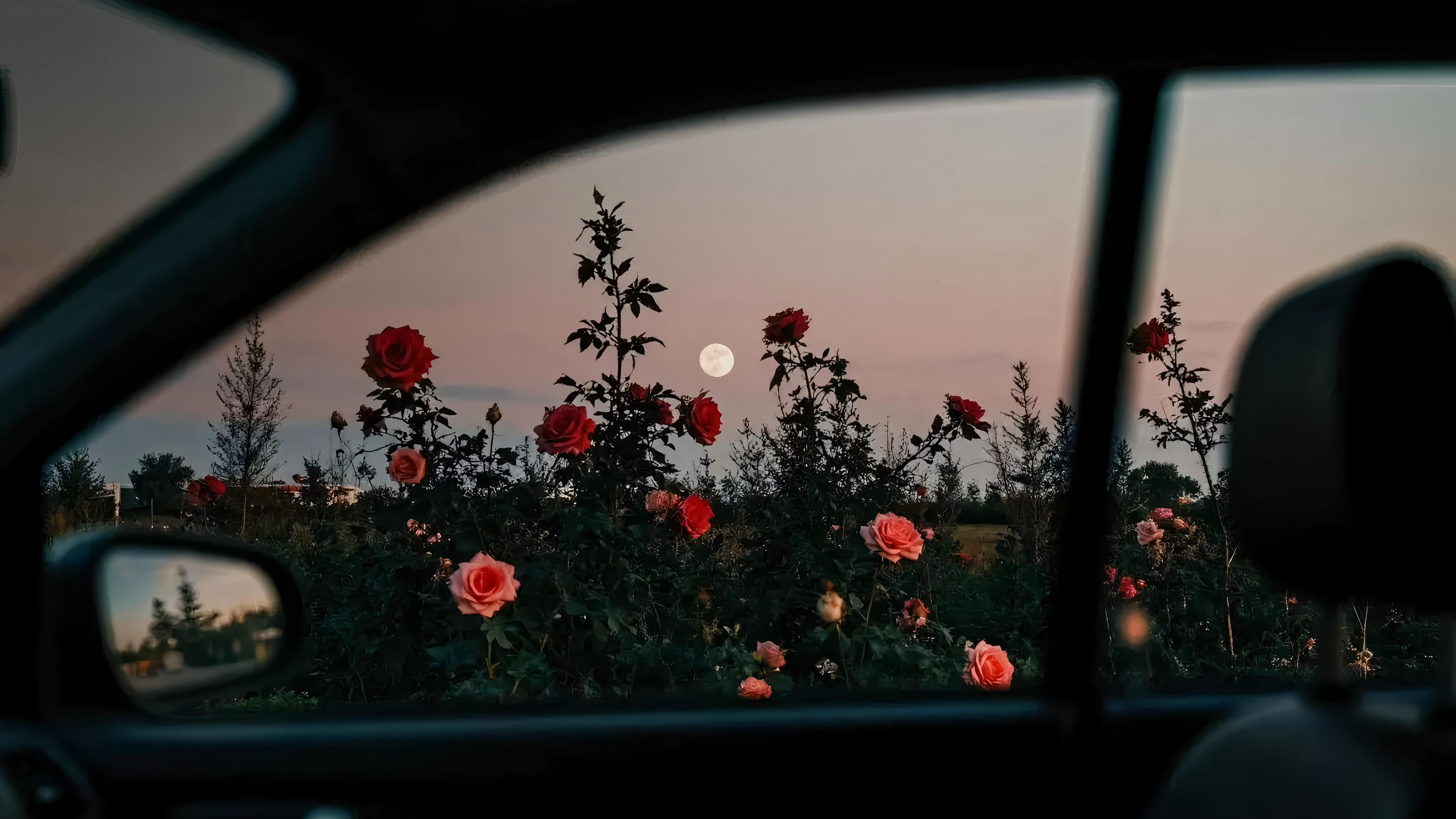 AI generated content thumbnail - artificial intelligence creative showcase